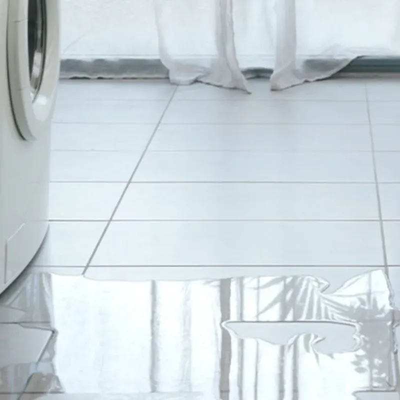 Appliance Leak Cleanup in Clinton, MT